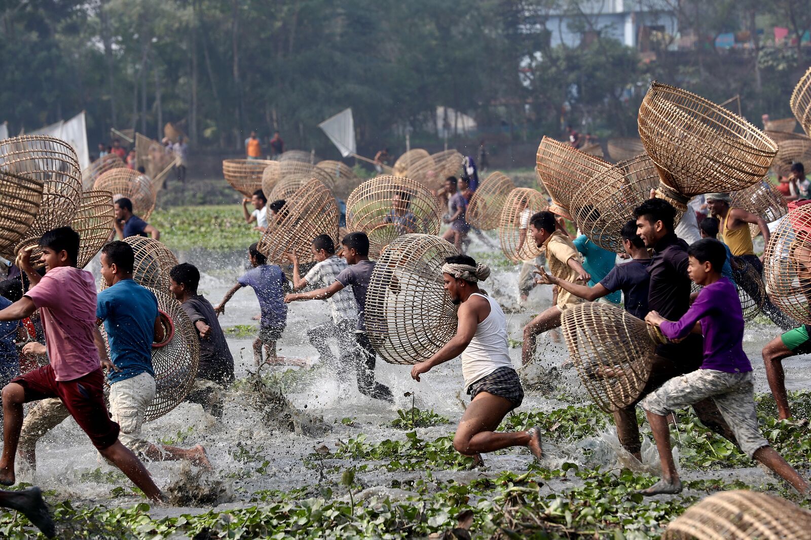 The Basket Catch
