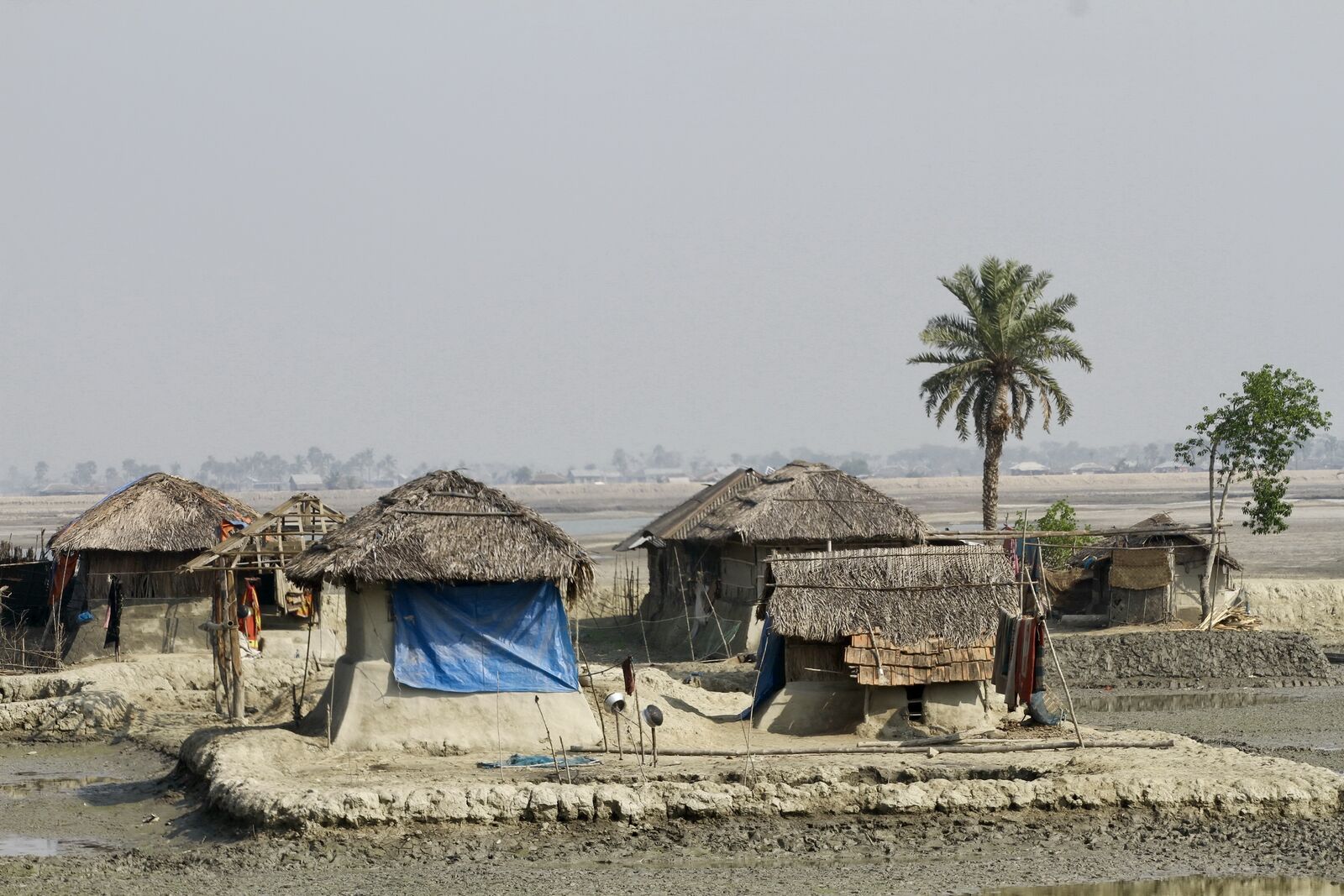 Houses on the Mudflat
