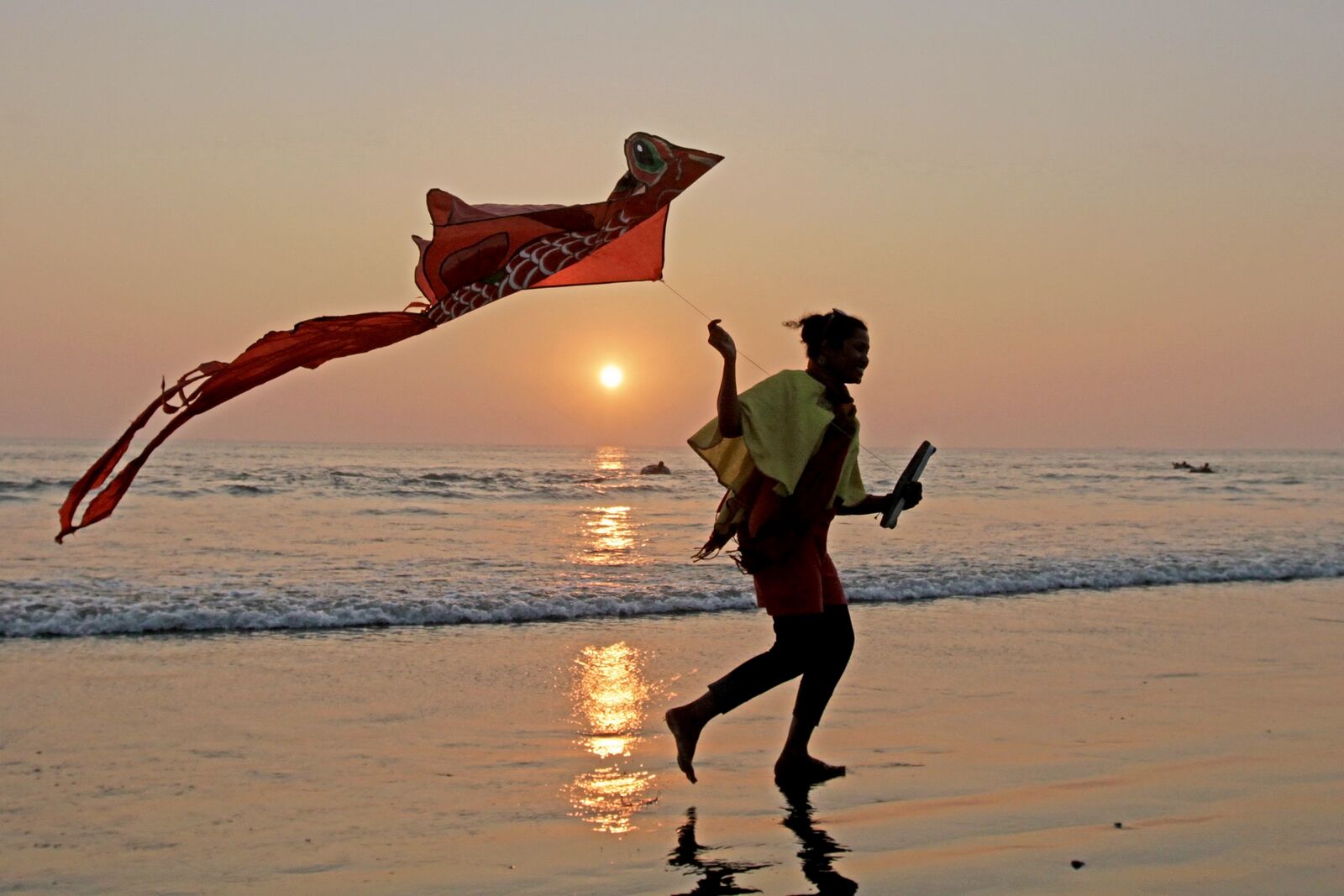 Flight at Dusk