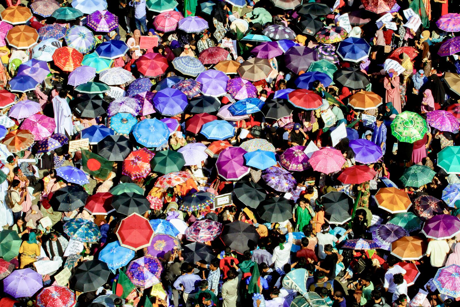 Under the Umbrellas