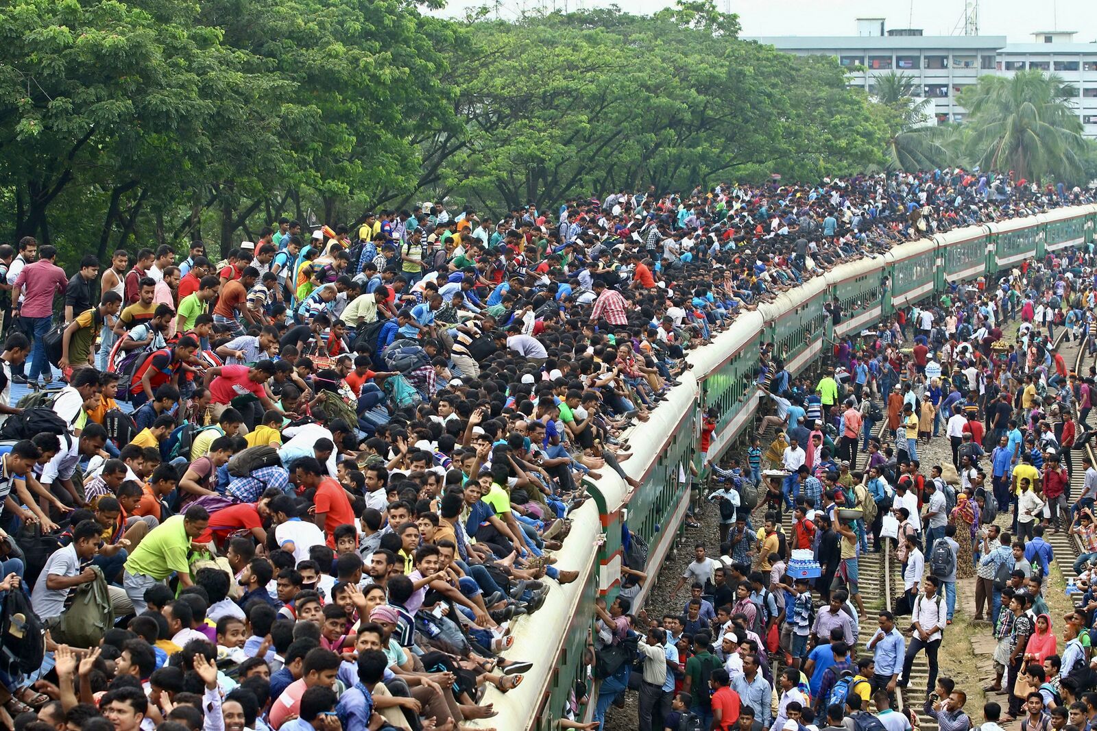 The Human Express